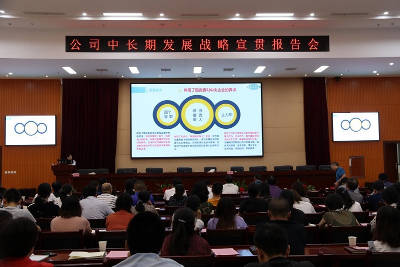 公司舉辦“中長期發(fā)展戰(zhàn)略、精細(xì)化管理和合規(guī)管理”宣貫 首場報告會