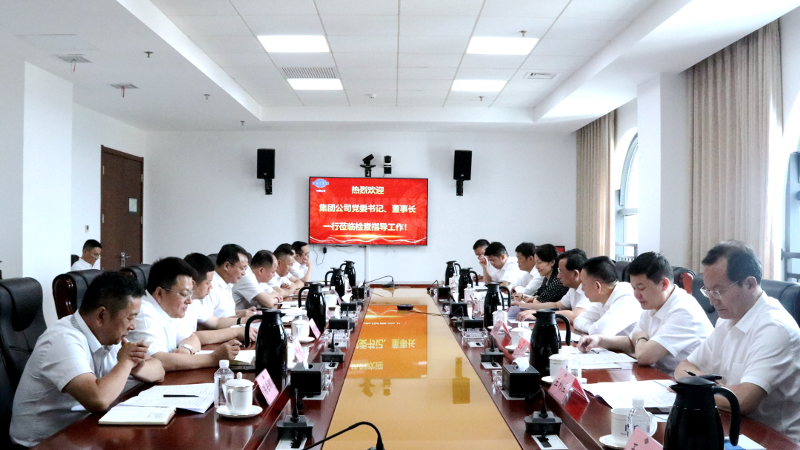 2022年6月，集團(tuán)公司黨委書記、董事長(zhǎng)戴和根一行到公司調(diào)研指導(dǎo)工作